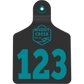 Large Ear Tag - Teal - Inverse Marking