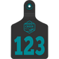 Small Ear Tag - Teal - Inverse Marking