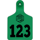 Small Ear Tag - Green