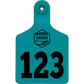 Small Ear Tag - Teal